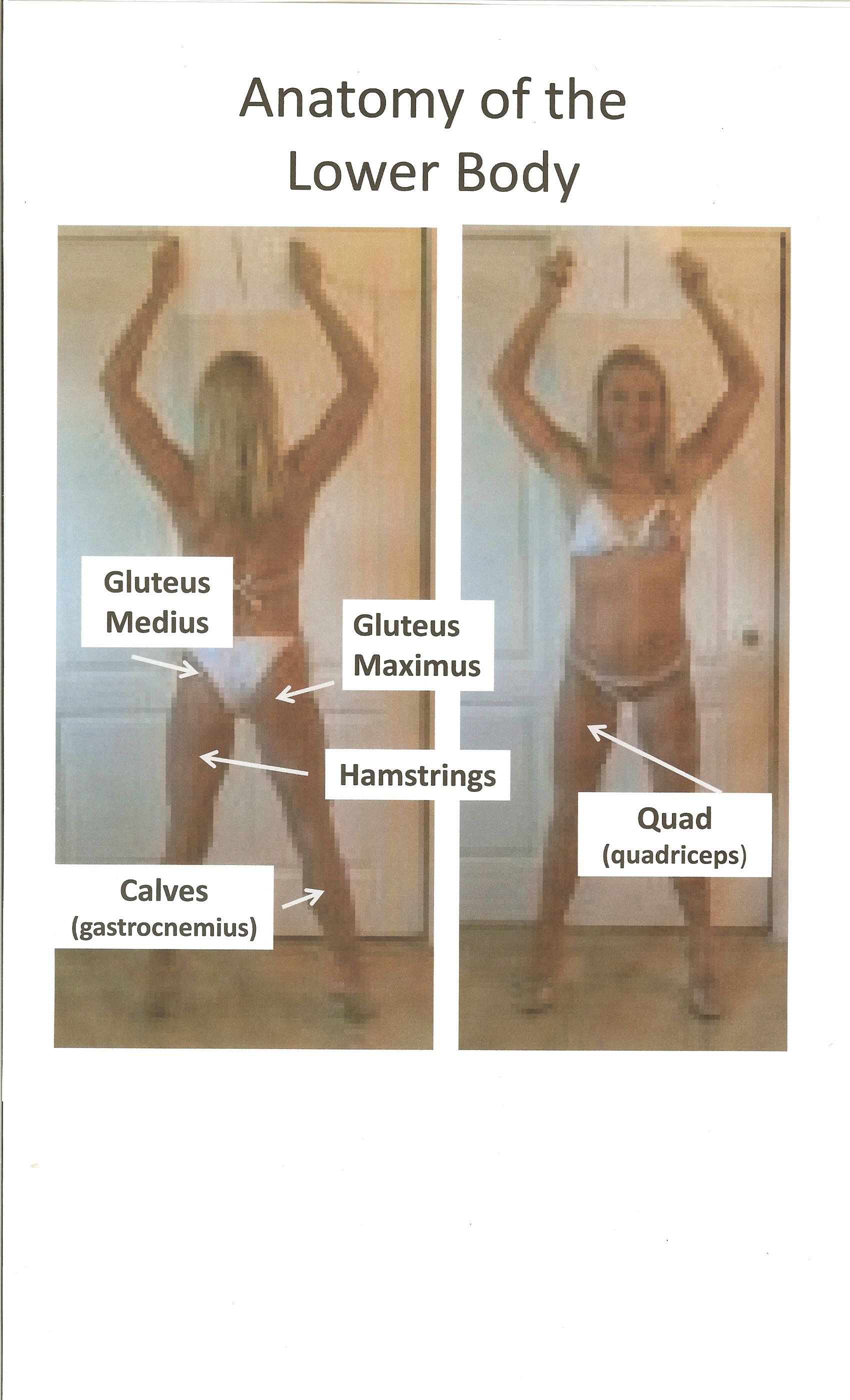 Anatomy of the Lower Body - ShesLosingIt.net