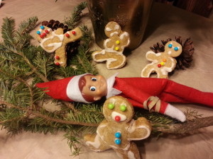 Ninjabread Cookies vs. Elf