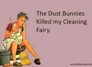 Cleaning-Fairy