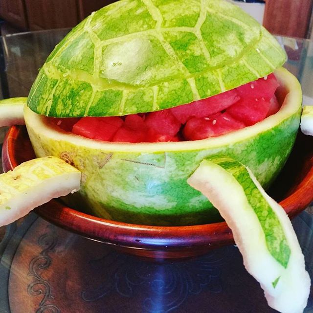 Watermelon Turtle