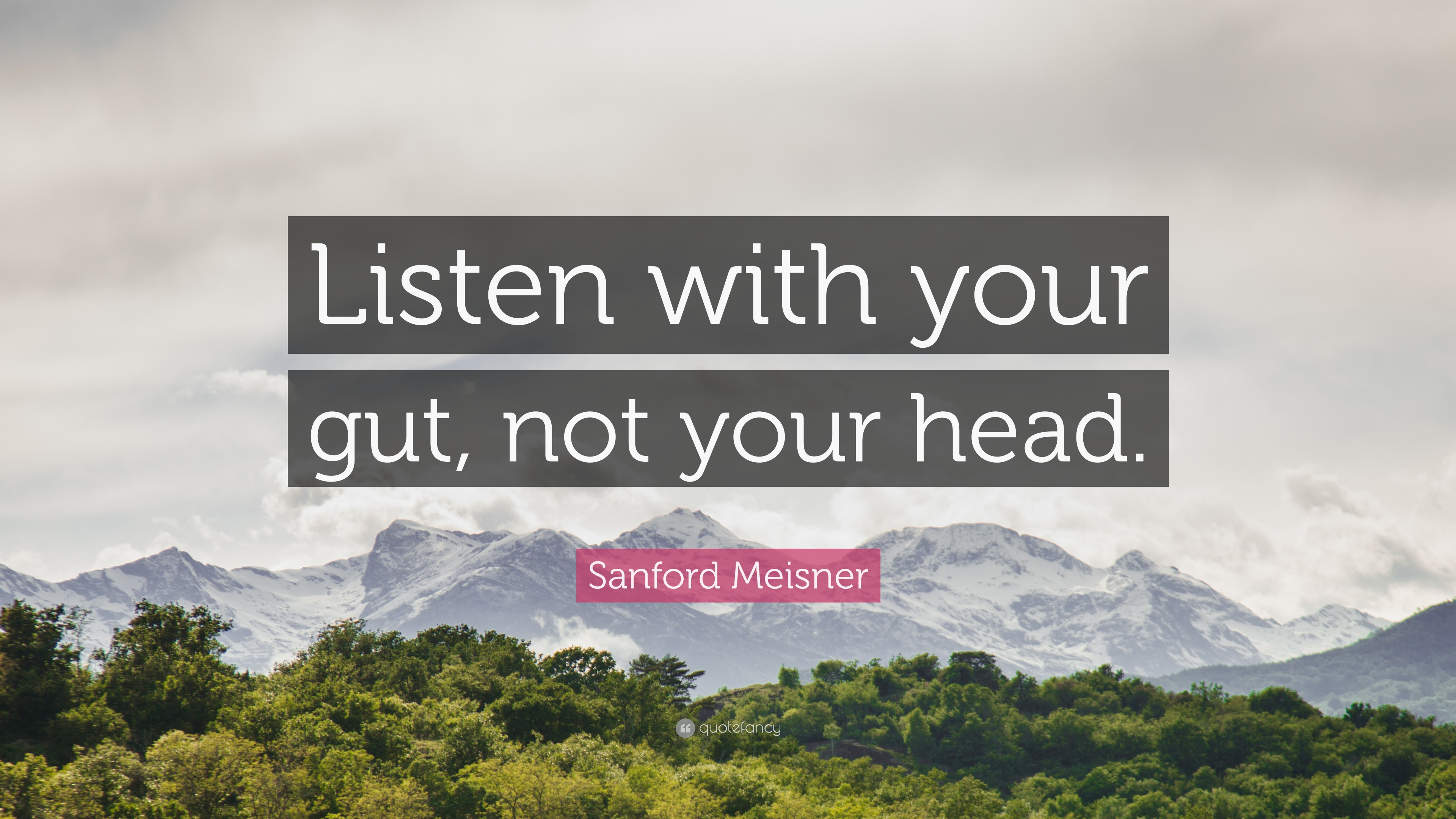 Listen to Your Gut